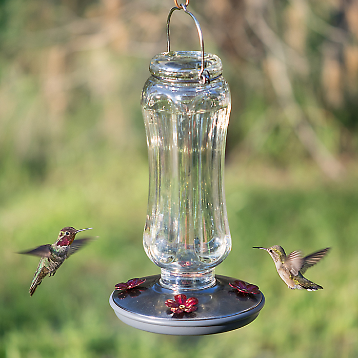Perky-Pet® 8132-2 Starglow Vintage Hummingbird Feeder, Clear