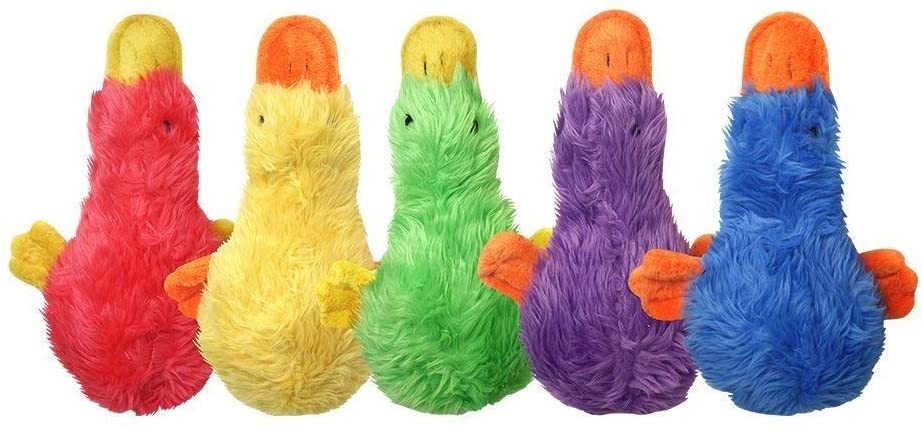 Multipet 37701 Duckworth Webster Dog Toy, Assorted Colors, 13 Inch