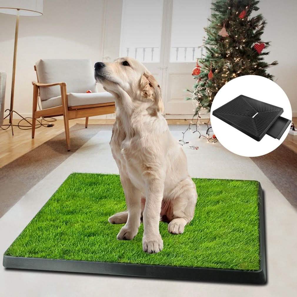 Pet Loo Portable Indoor/Outdoor Pet Potty