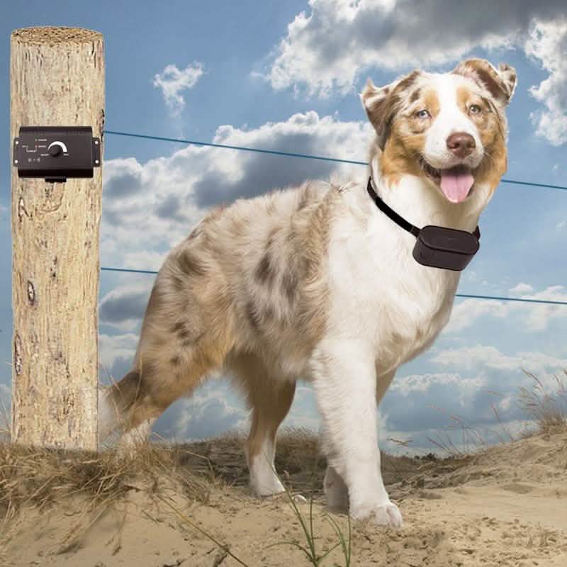 PetZoom Electric Dog Fence In-Ground Fencing System