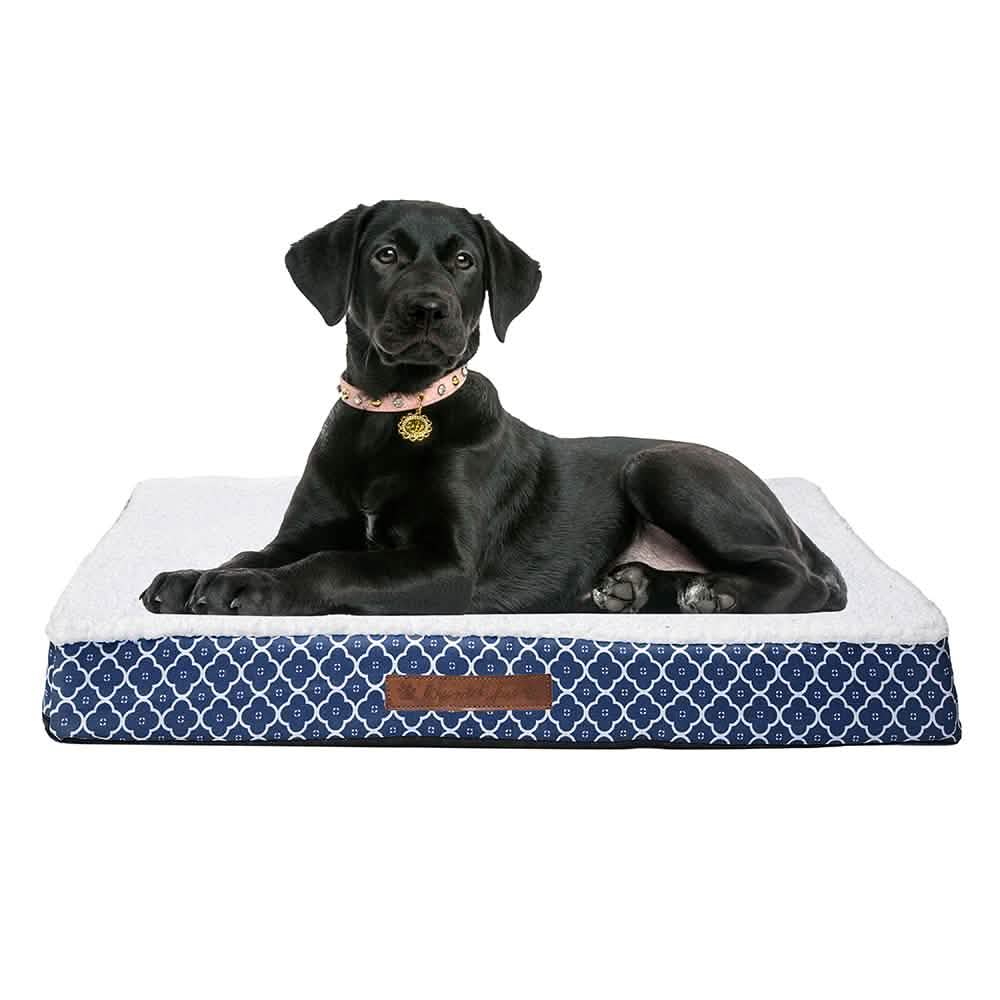 Wags & Whiskers Memory Foam Pet Bed - Assorted Styles Pet Supplies - DailySale