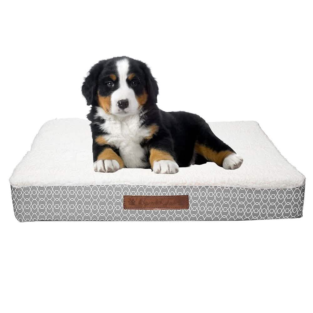 Wags & Whiskers Memory Foam Pet Bed - Assorted Styles Pet Supplies - DailySale