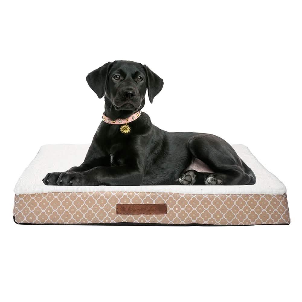 Wags & Whiskers Memory Foam Pet Bed - Assorted Styles Pet Supplies - DailySale