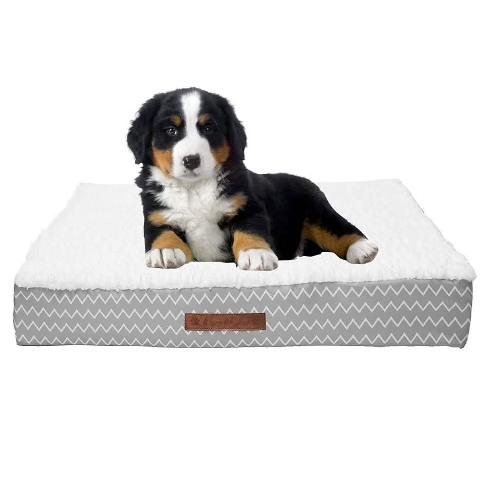 Wags & Whiskers Memory Foam Pet Bed - Assorted Styles Pet Supplies - DailySale