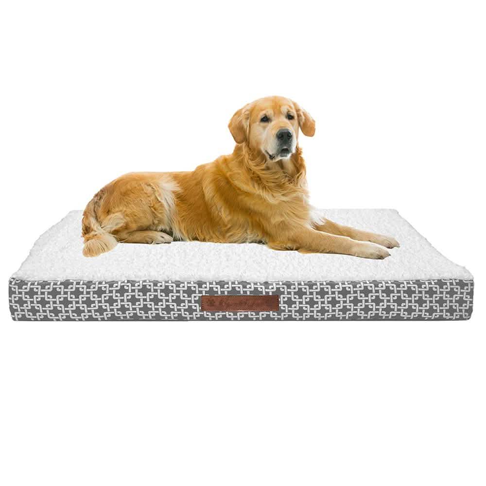 Wags & Whiskers Memory Foam Pet Bed - Assorted Styles Pet Supplies - DailySale
