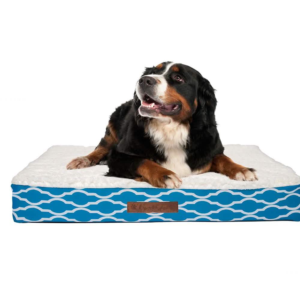 Wags & Whiskers Memory Foam Pet Bed - Assorted Styles Pet Supplies - DailySale