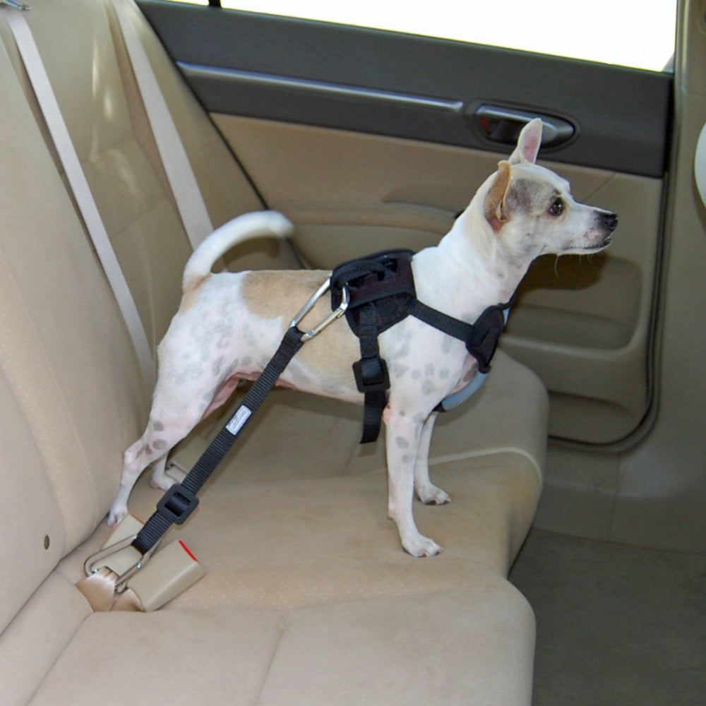 Bergan® 88230 Dog Auto Safety Harness with Tether, Small