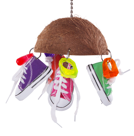 Split Coconut Shell with Sneakers
