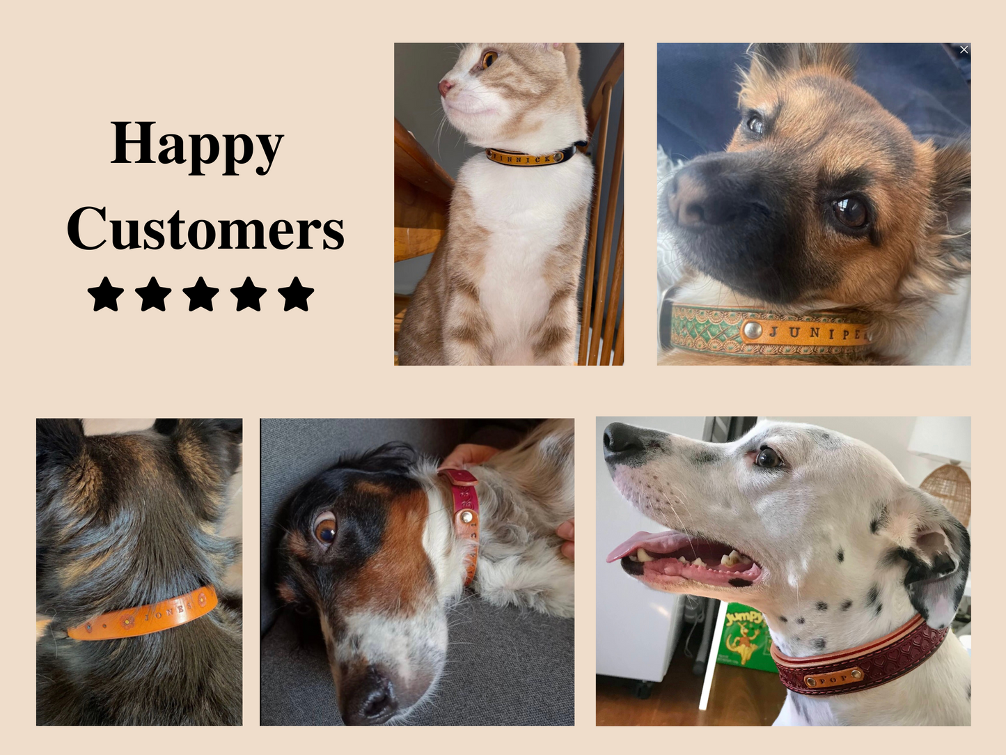 Personalised leather collar with engraved buckle