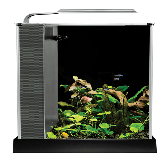 Fluval Spec Aquarium Kit - Black