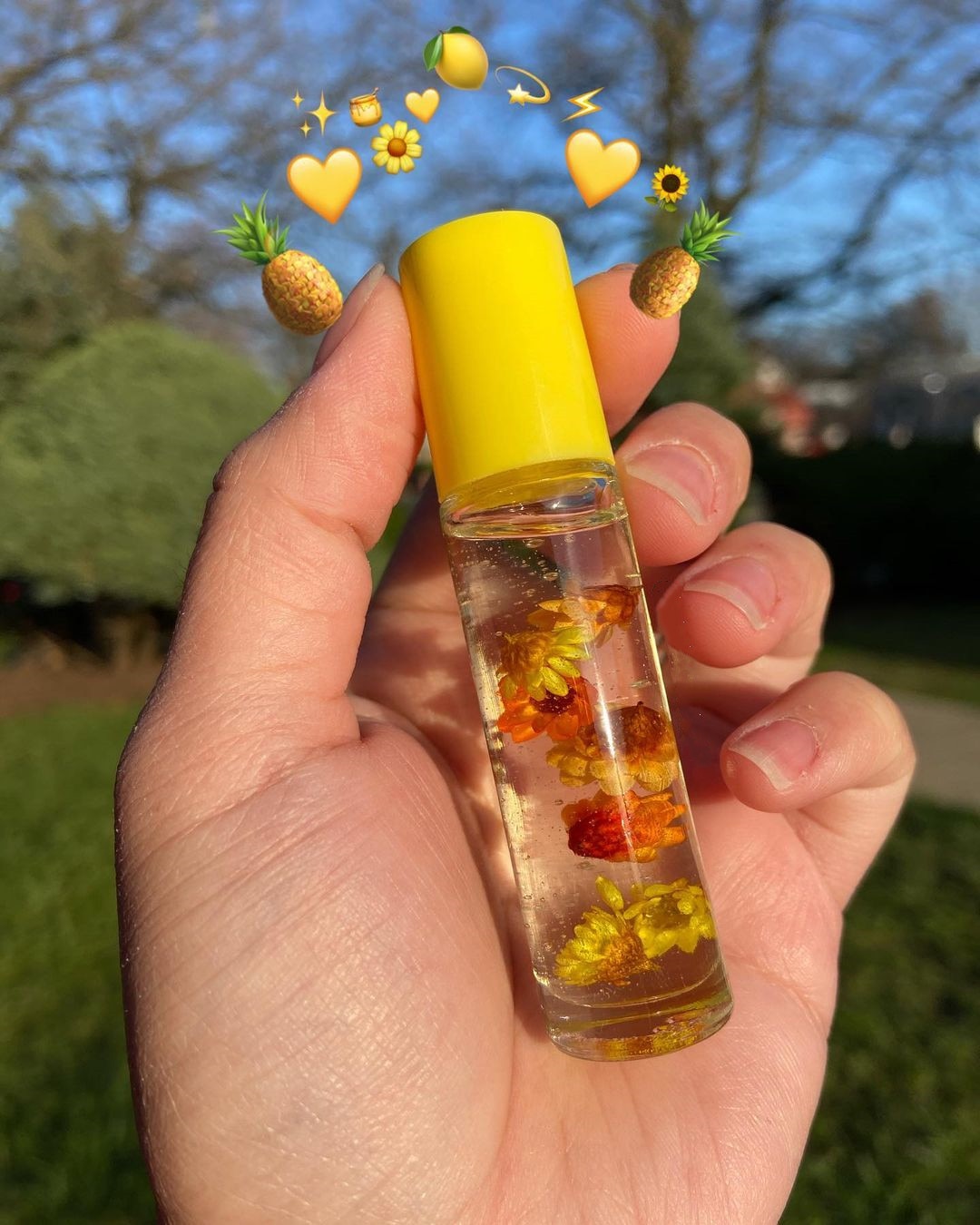 Cute Cruelty Free Vegan Lip Gloss Set 5 pcs