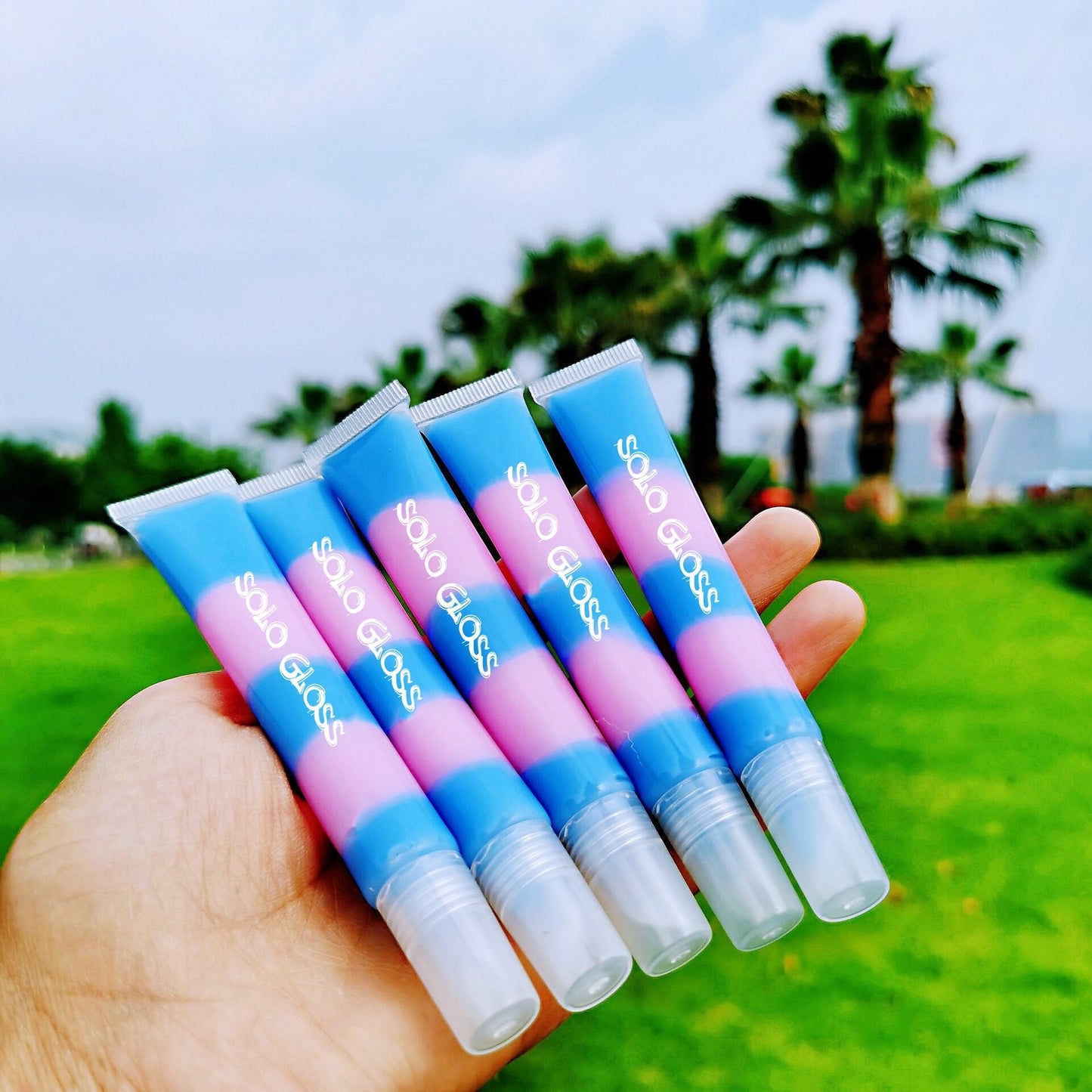 Vegan and Cruelty-Free Lip Gloss Kit (6 pc)