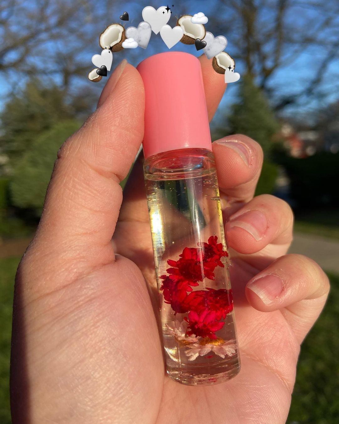 Cute Cruelty Free Vegan Lip Gloss Set 5 pcs