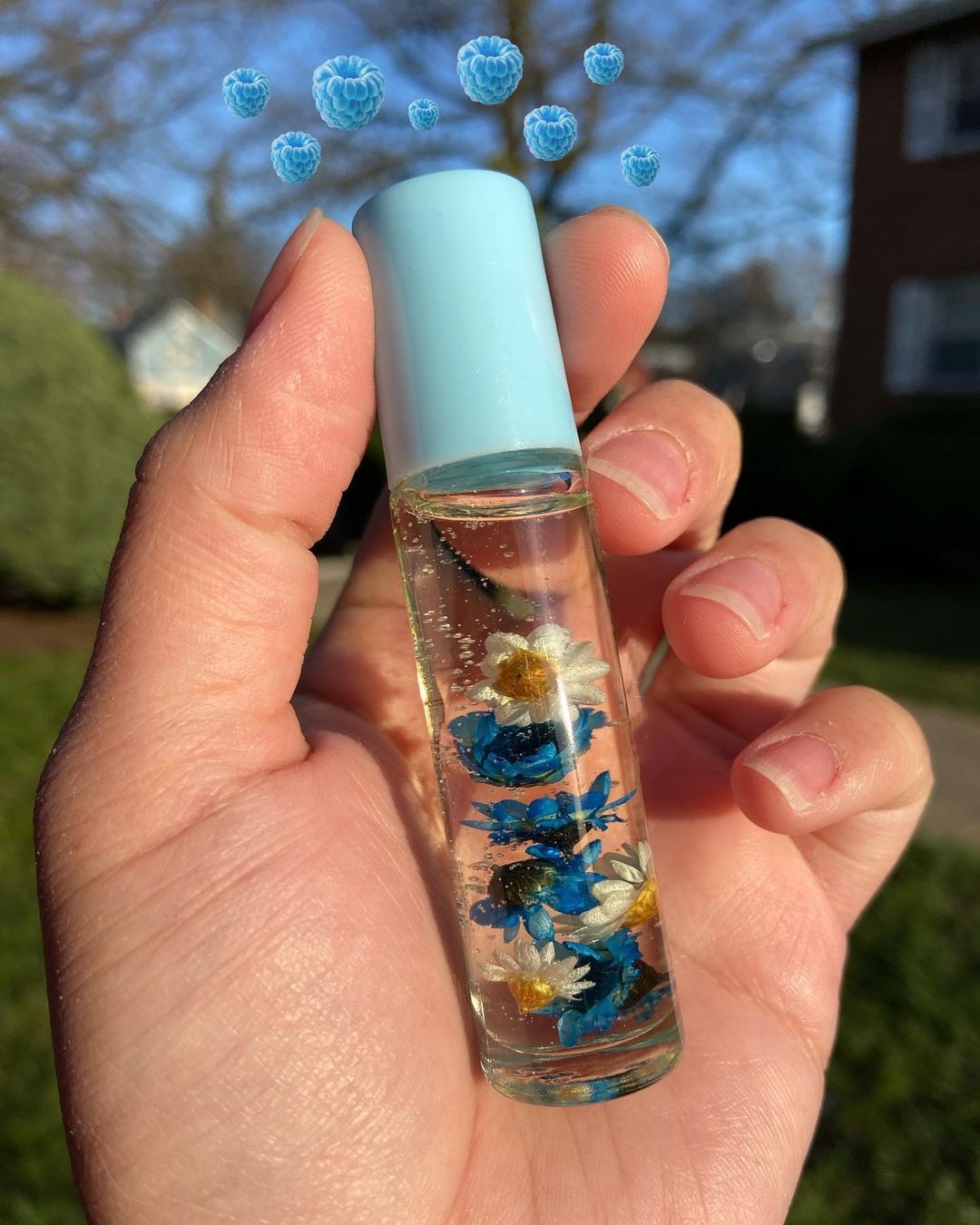 Cute Cruelty Free Vegan Lip Gloss Set 5 pcs