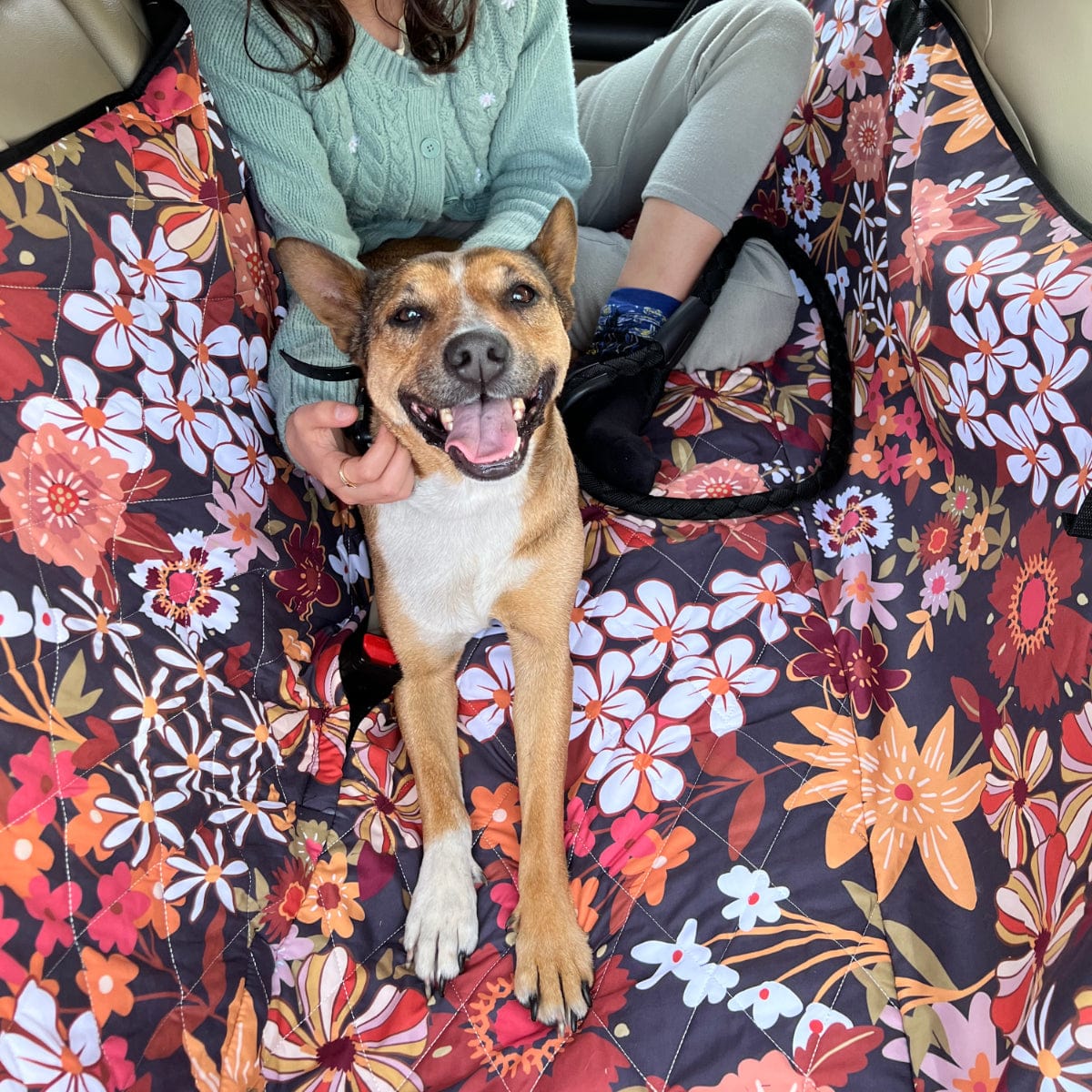 Bohemian Dream Dog Car Seat Covers