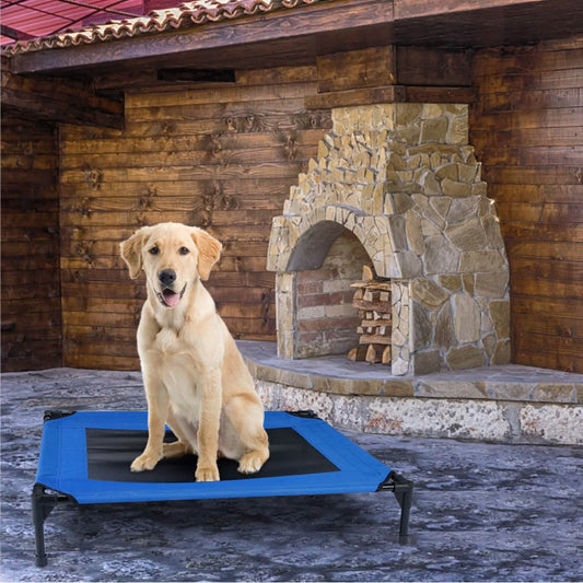 Elevated Dog Cot Bed