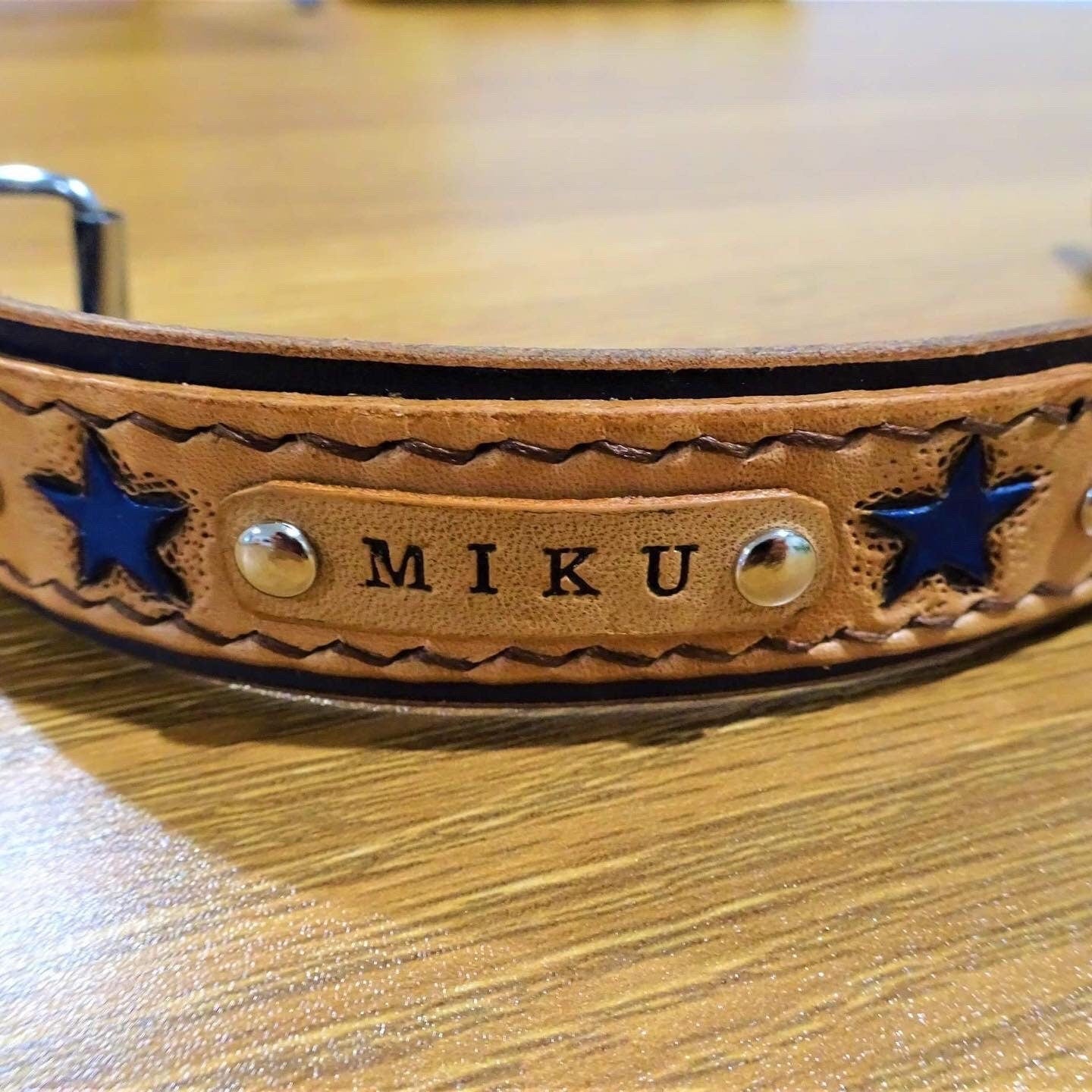 Hand painted shooting star double layered collar