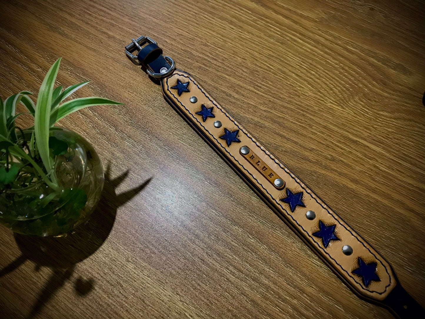 Hand painted shooting star double layered collar