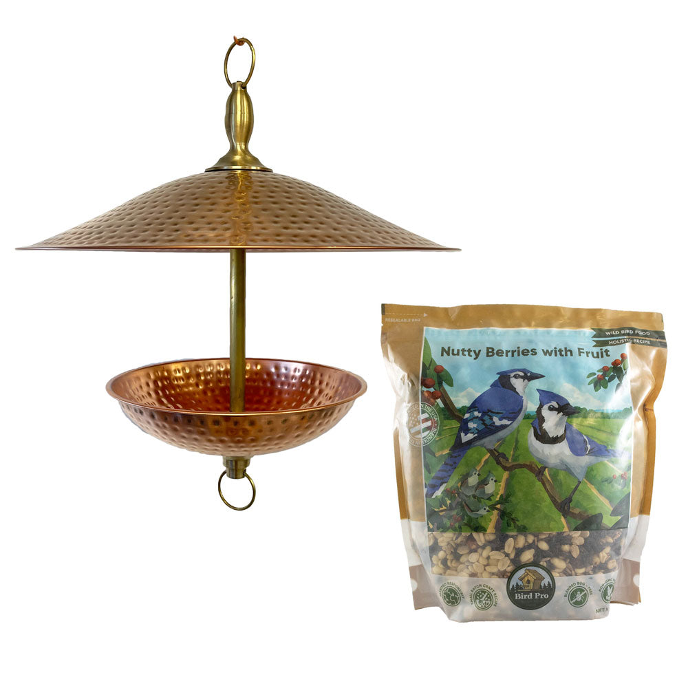 Easy Fill Bird Feeder - Bird Pro Nutty Berries with Fruit Bundle