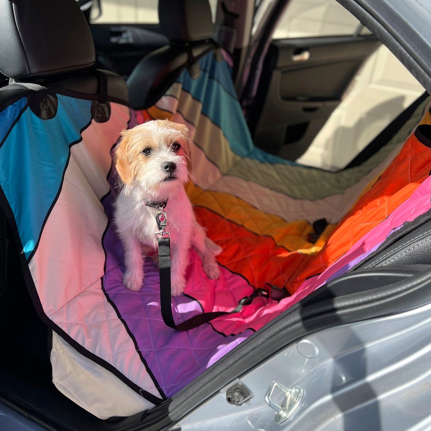 Dog Car Seat Covers