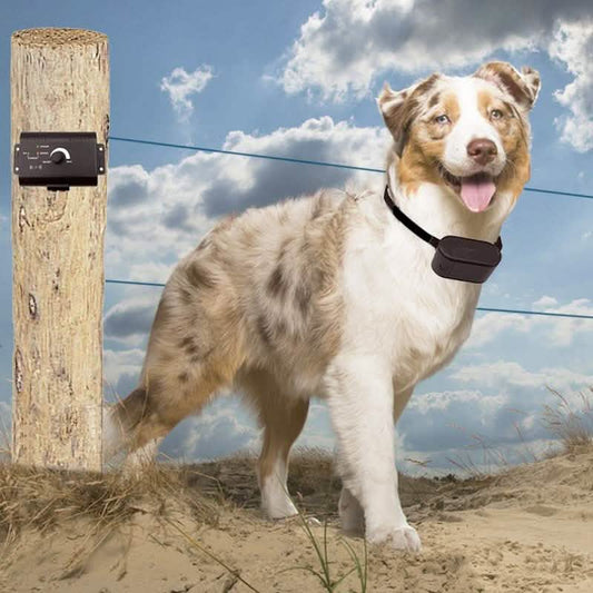 PetZoom Electric Dog Fence In-Ground Fencing System