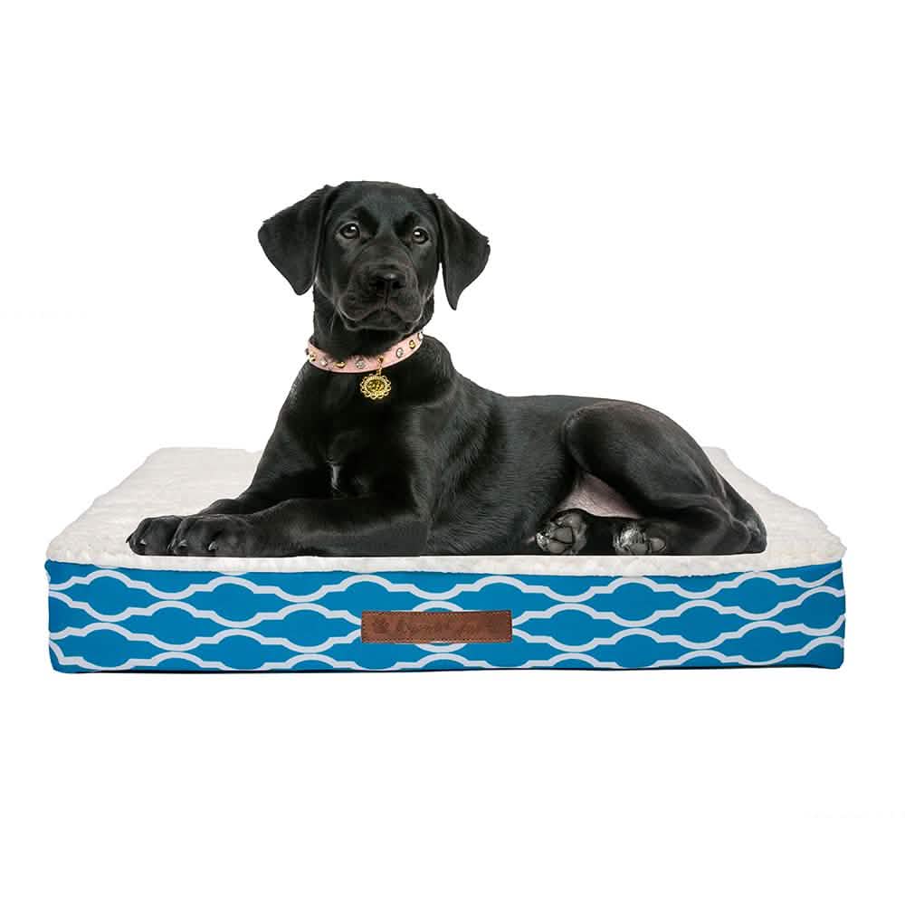 Wags & Whiskers Memory Foam Pet Bed - Assorted Styles Pet Supplies - DailySale