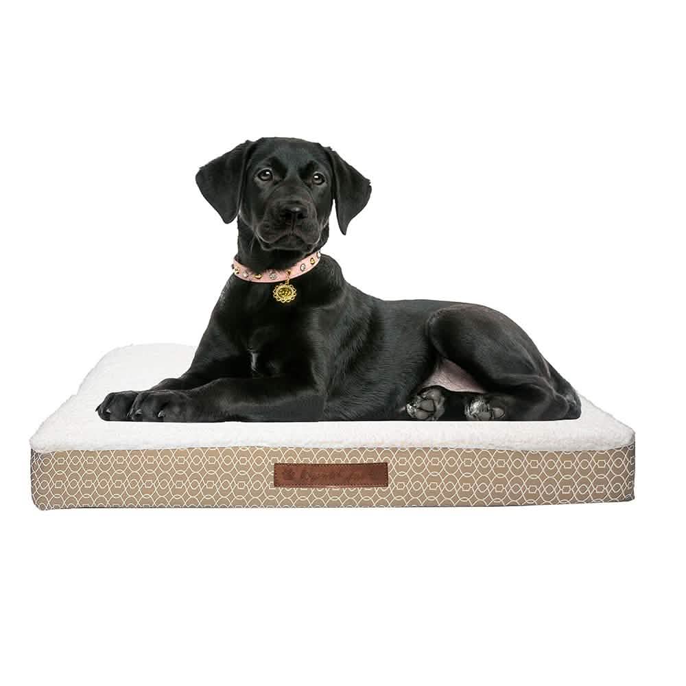 Wags & Whiskers Memory Foam Pet Bed - Assorted Styles Pet Supplies - DailySale