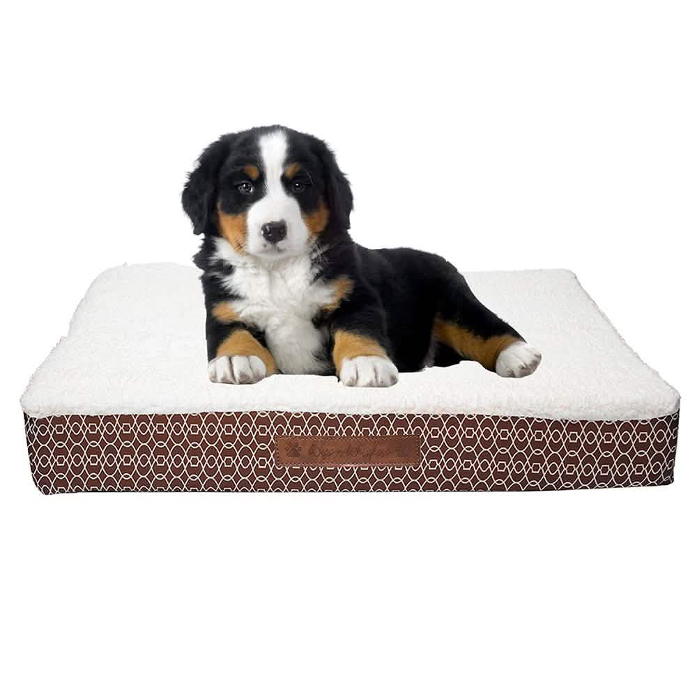 Wags & Whiskers Memory Foam Pet Bed - Assorted Styles Pet Supplies - DailySale