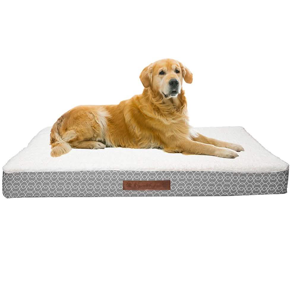Wags & Whiskers Memory Foam Pet Bed - Assorted Styles Pet Supplies - DailySale